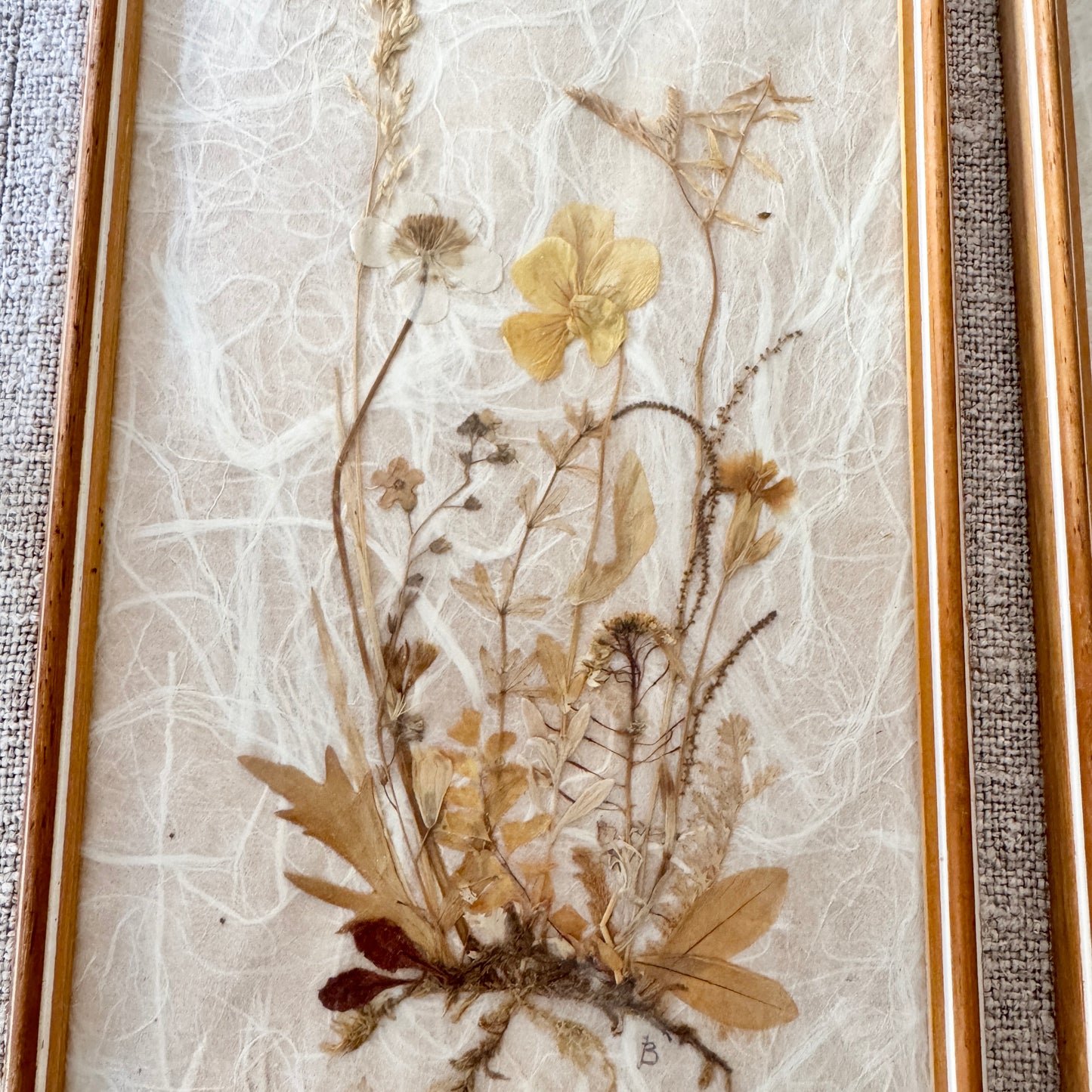 Sweden. Two Mid-century Herbarium Pressed Flowers Wall Art.