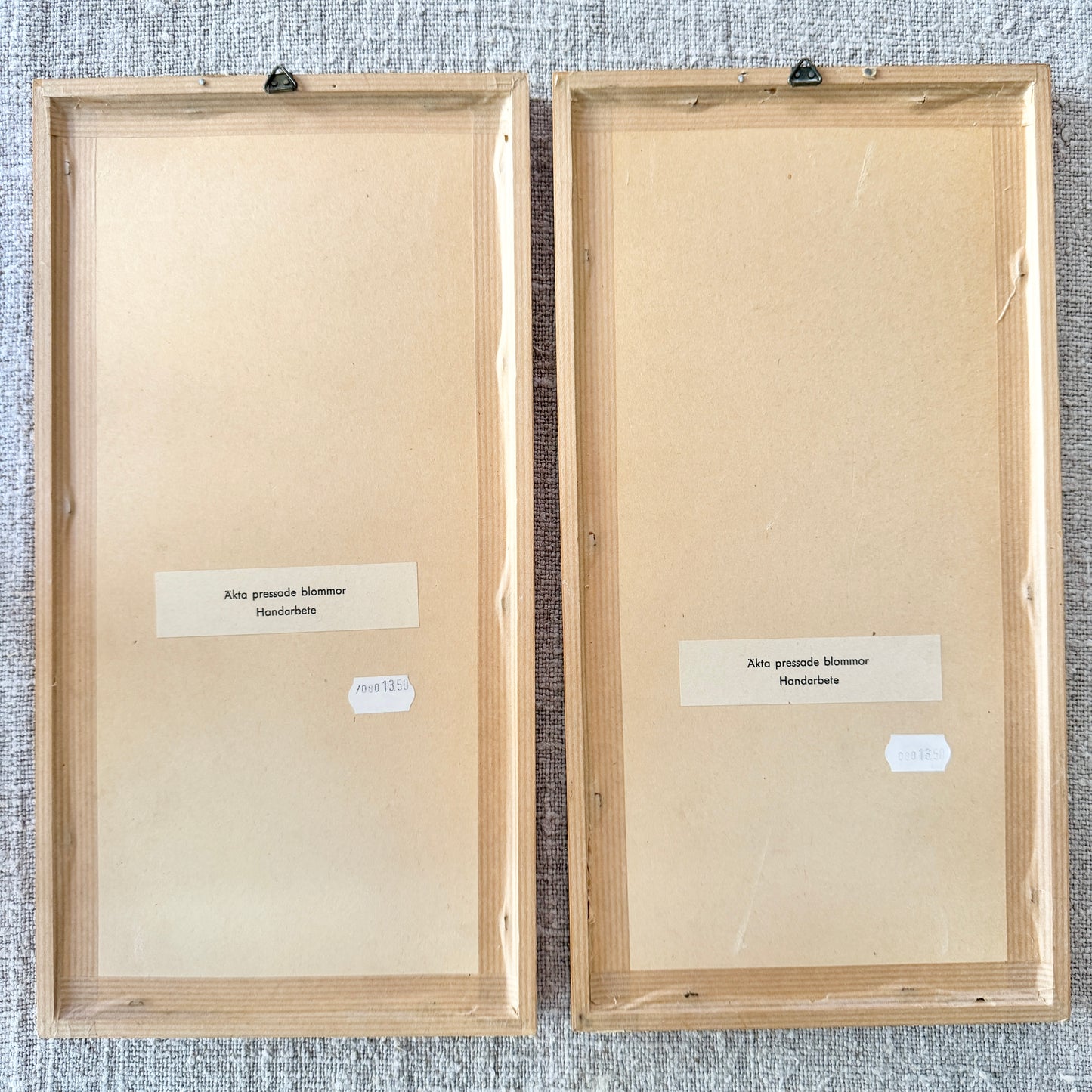 Sweden. Two Mid-century Herbarium Pressed Flowers Wall Art.