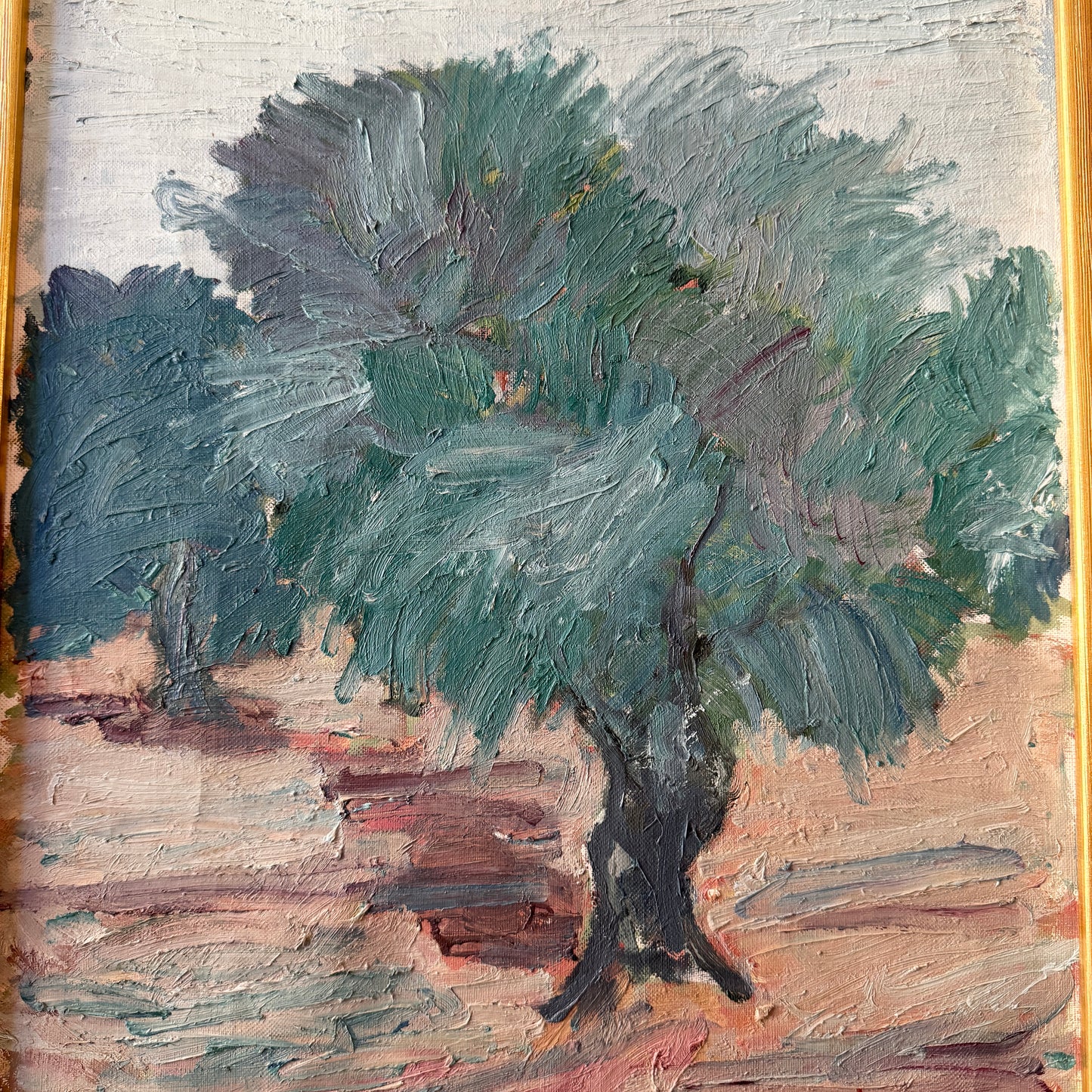 Olive Tree in Palamós. Vintage Oil Painting.