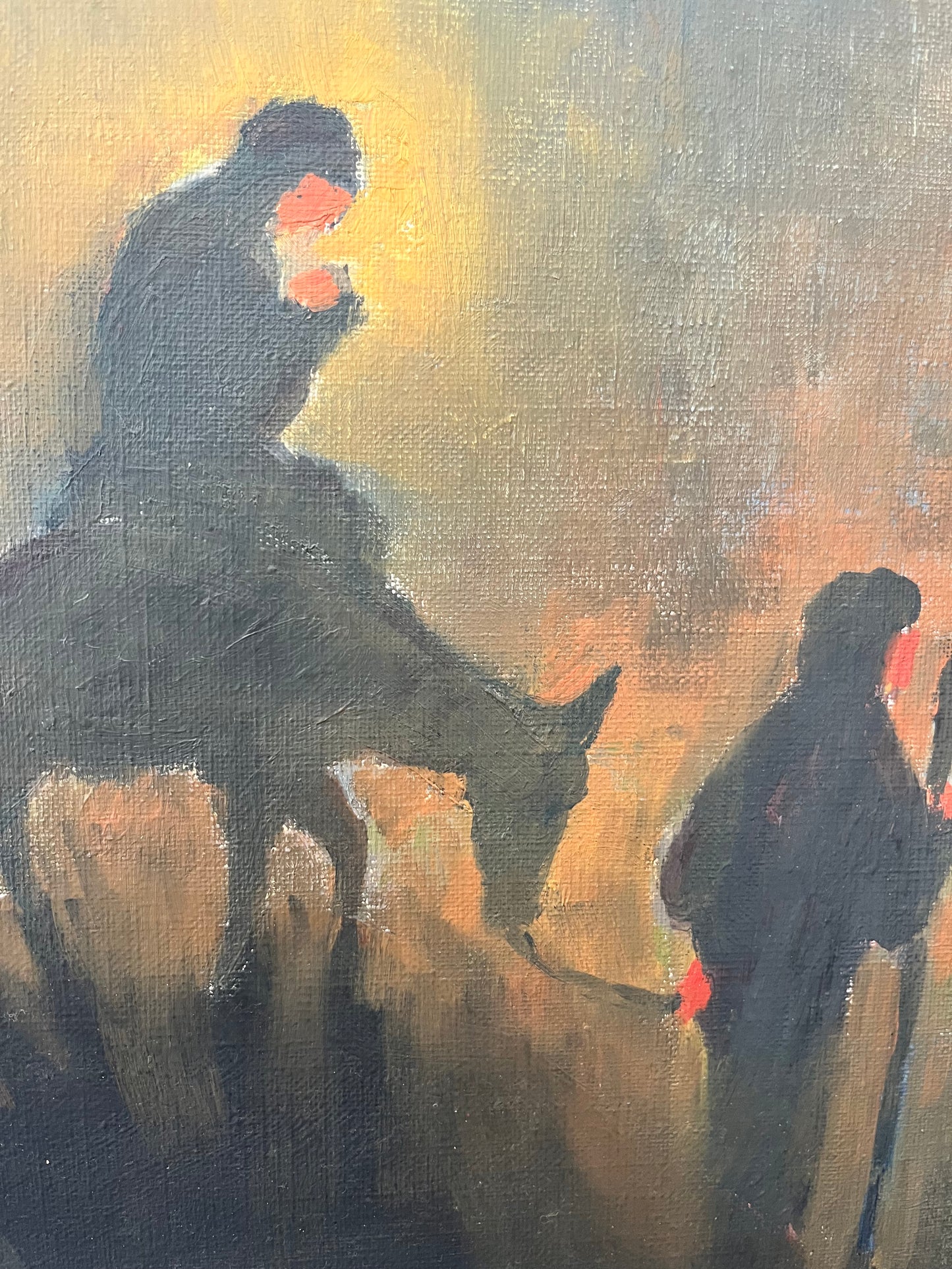 ”Journey in Light”