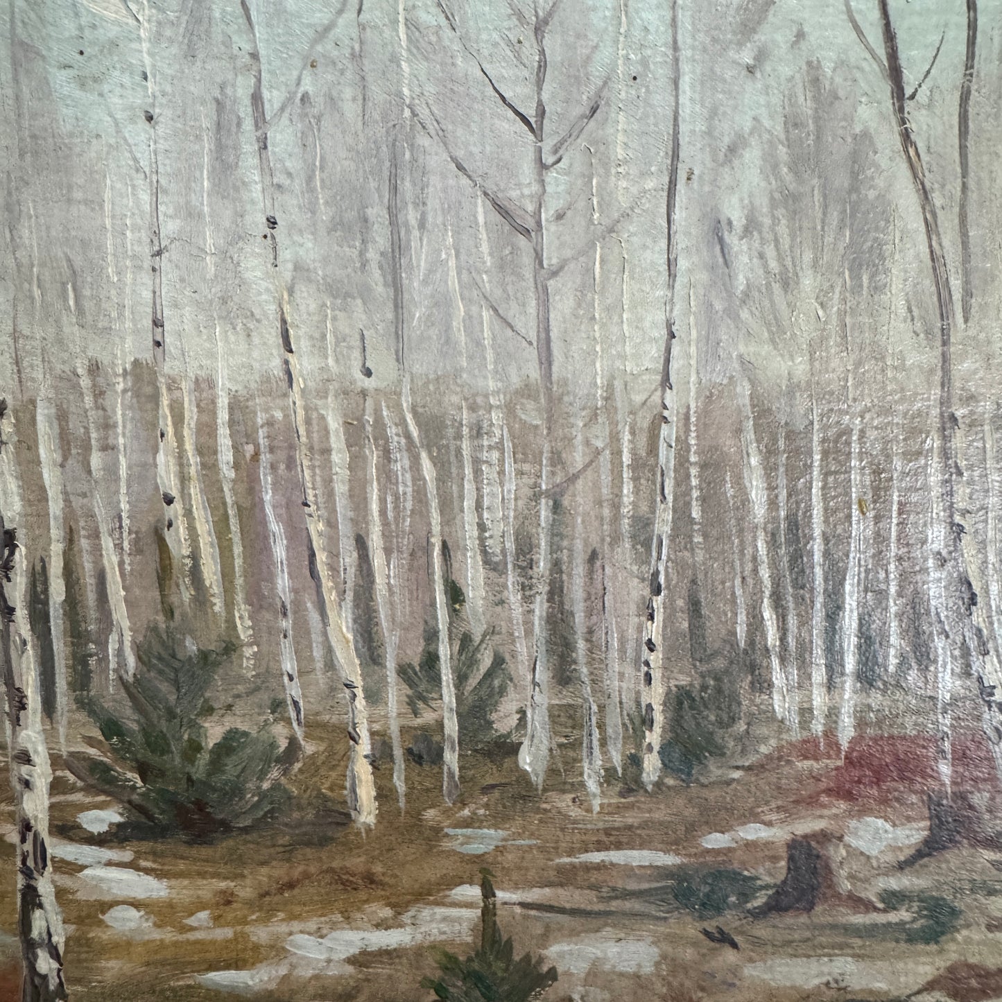Birch Forest Awakening 1936. Vintage Swedish Oil Painting, by William Solenberg